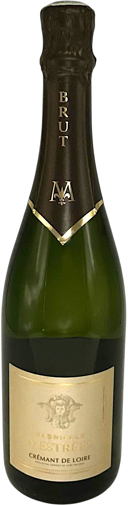 CAVIV1