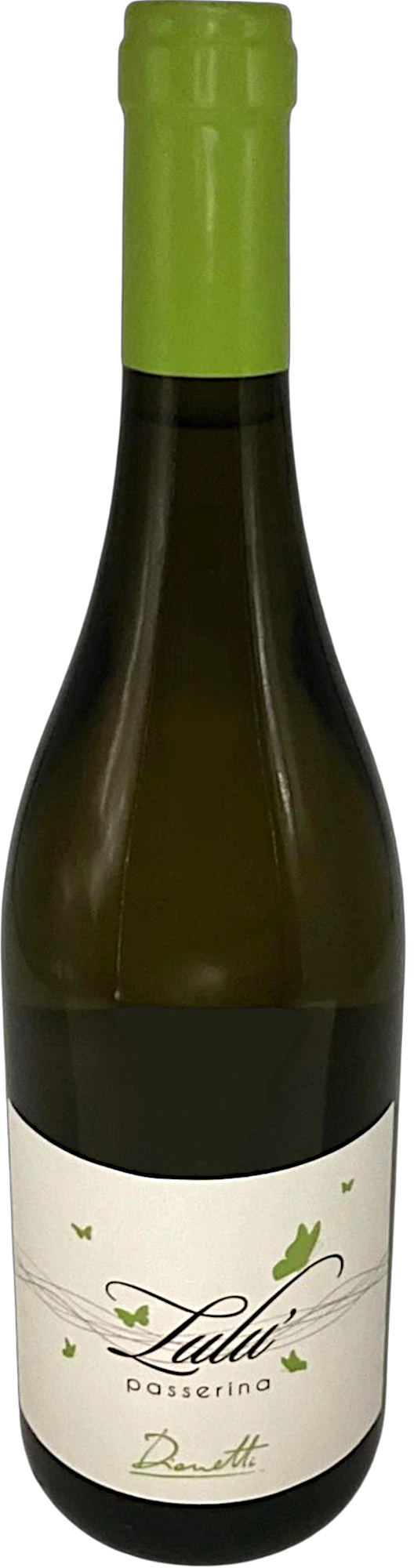CAVIV11