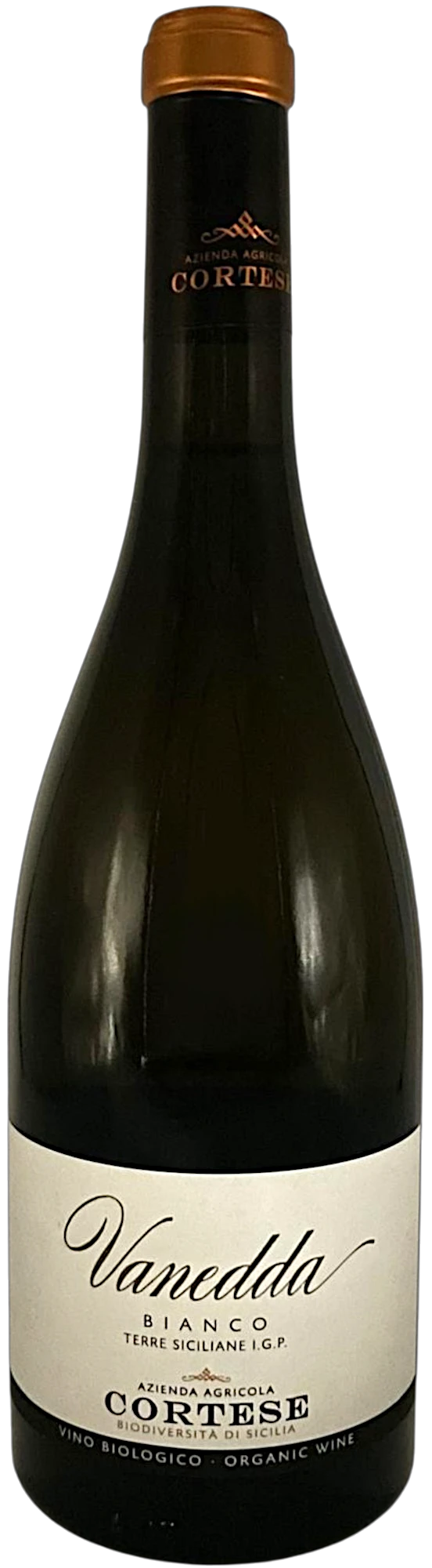 CAVIV13