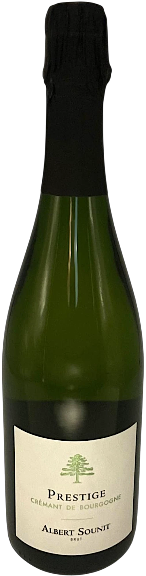 CAVIV17
