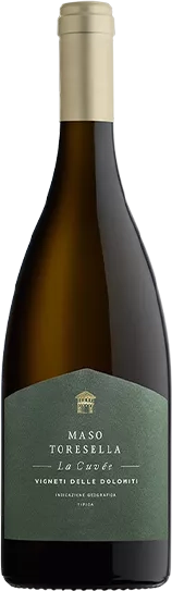 CAVIV1